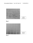 PLEATABLE COMPOSITE FILTER MEDIA diagram and image