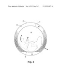 LAUNDRY TREATING APPLIANCE WITH BIOFILM TREATING CYCLE diagram and image