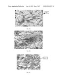 POLYMER COMPOSITE FOR EXTRACTING CESIUM FROM NUCLEAR WASTE AND/OR OTHER     INORGANIC WASTES/SOLUTIONS diagram and image