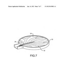 Insect feeder diagram and image