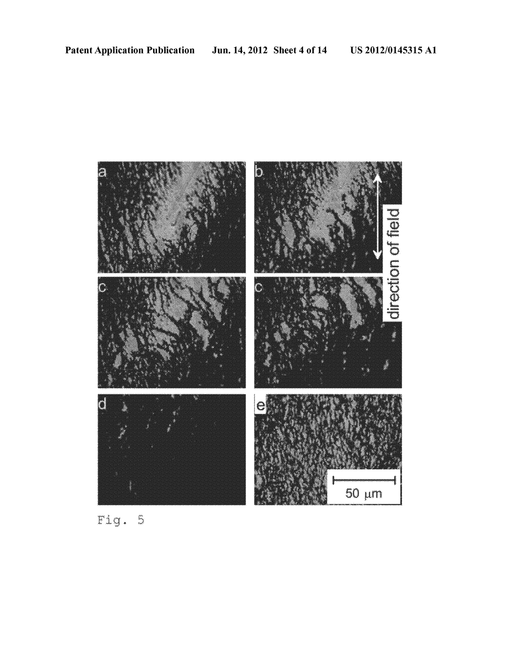 ANISOTROPIC CONDUCTIVE POLYMER MATERIAL - diagram, schematic, and image 05