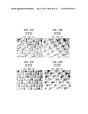 Method Of Making A Fabric-Creped Absorbent Cellulosic Sheet diagram and image