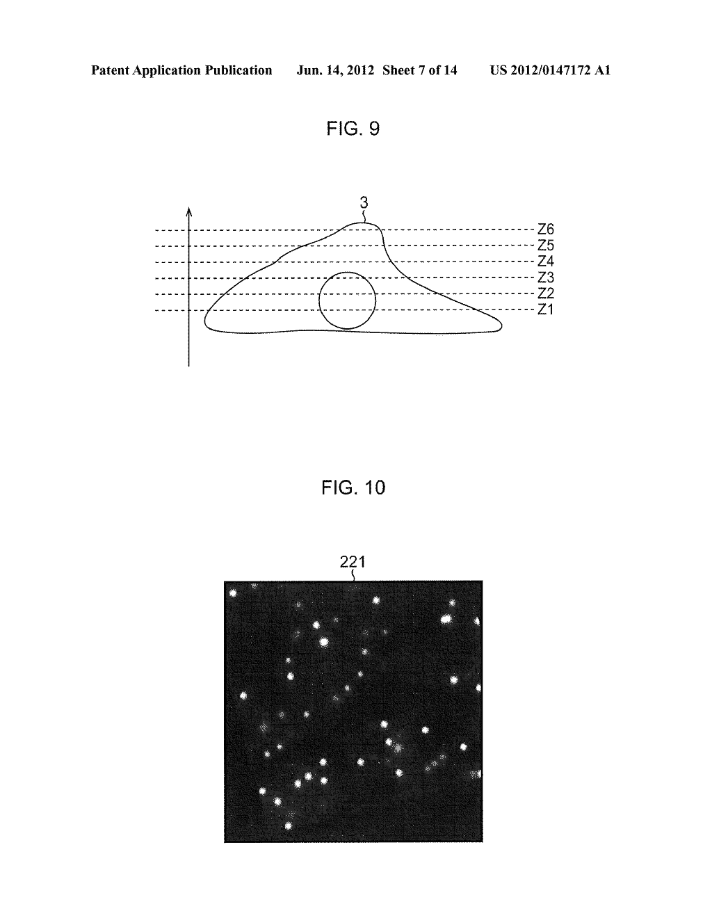 IMAGE PROCESSOR, IMAGE PROCESSING METHOD, PROGRAM AND MICROSCOPE - diagram, schematic, and image 08