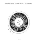 COLORED CONTACT LENS diagram and image