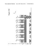 THREE DIMENSIONAL NON-VOLATILE STORAGE WITH DUAL GATE SELECTION OF     VERTICAL BIT LINES diagram and image