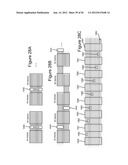 THREE DIMENSIONAL NON-VOLATILE STORAGE WITH DUAL GATE SELECTION OF     VERTICAL BIT LINES diagram and image