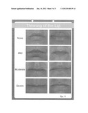 METHOD AND SYSTEM FOR ESTIMATING THE PERCEIVED AGE OF AN INDIVIDUAL diagram and image