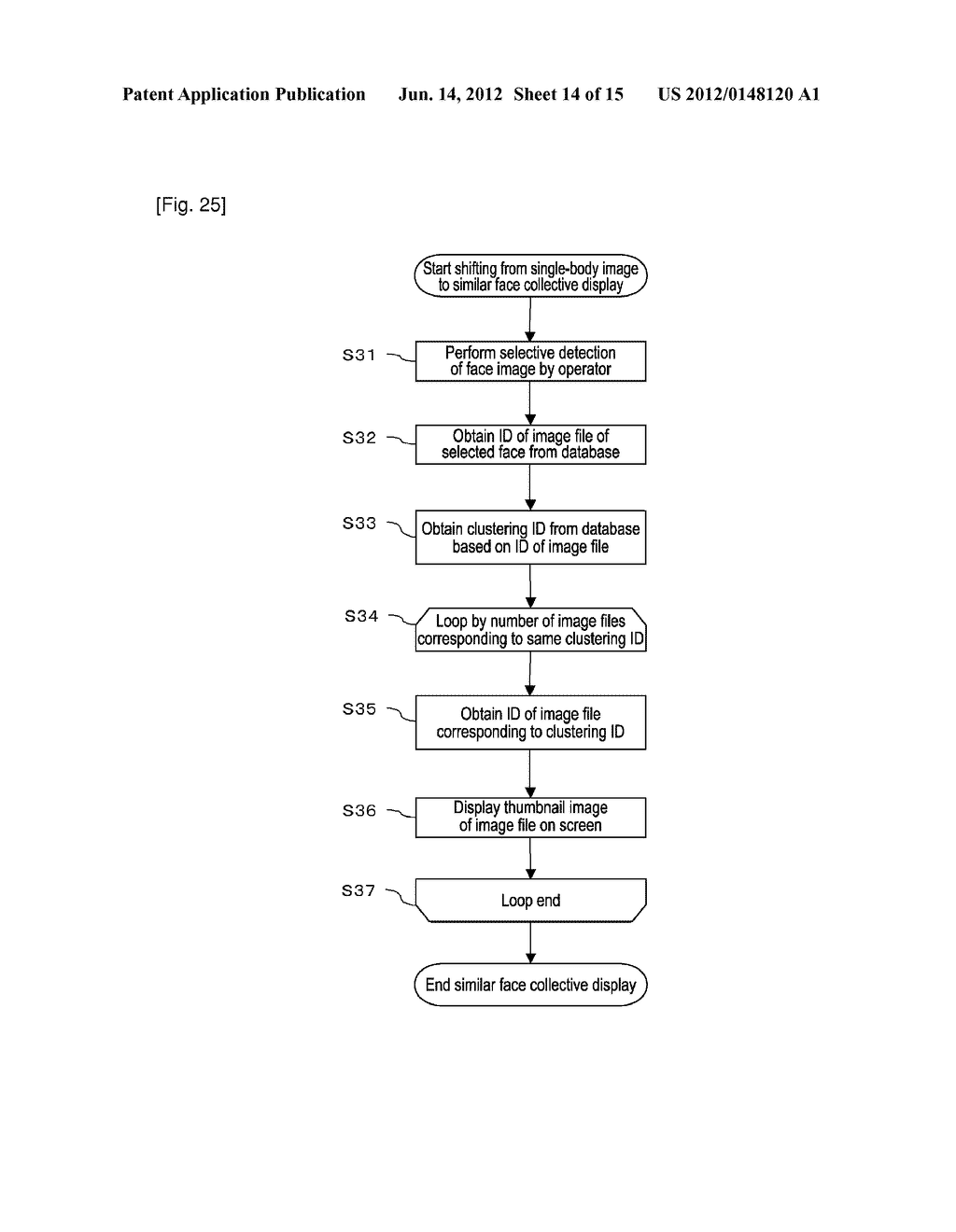 INFORMATION TERMINAL, INFORMATION CONTROL METHOD FOR AN INFORMATION     TERMINAL, AND INFORMATION CONTROL PROGRAM - diagram, schematic, and image 15