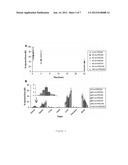 Targeting Kidney Mesangium With Nanoparticles of Defined Diameter diagram and image