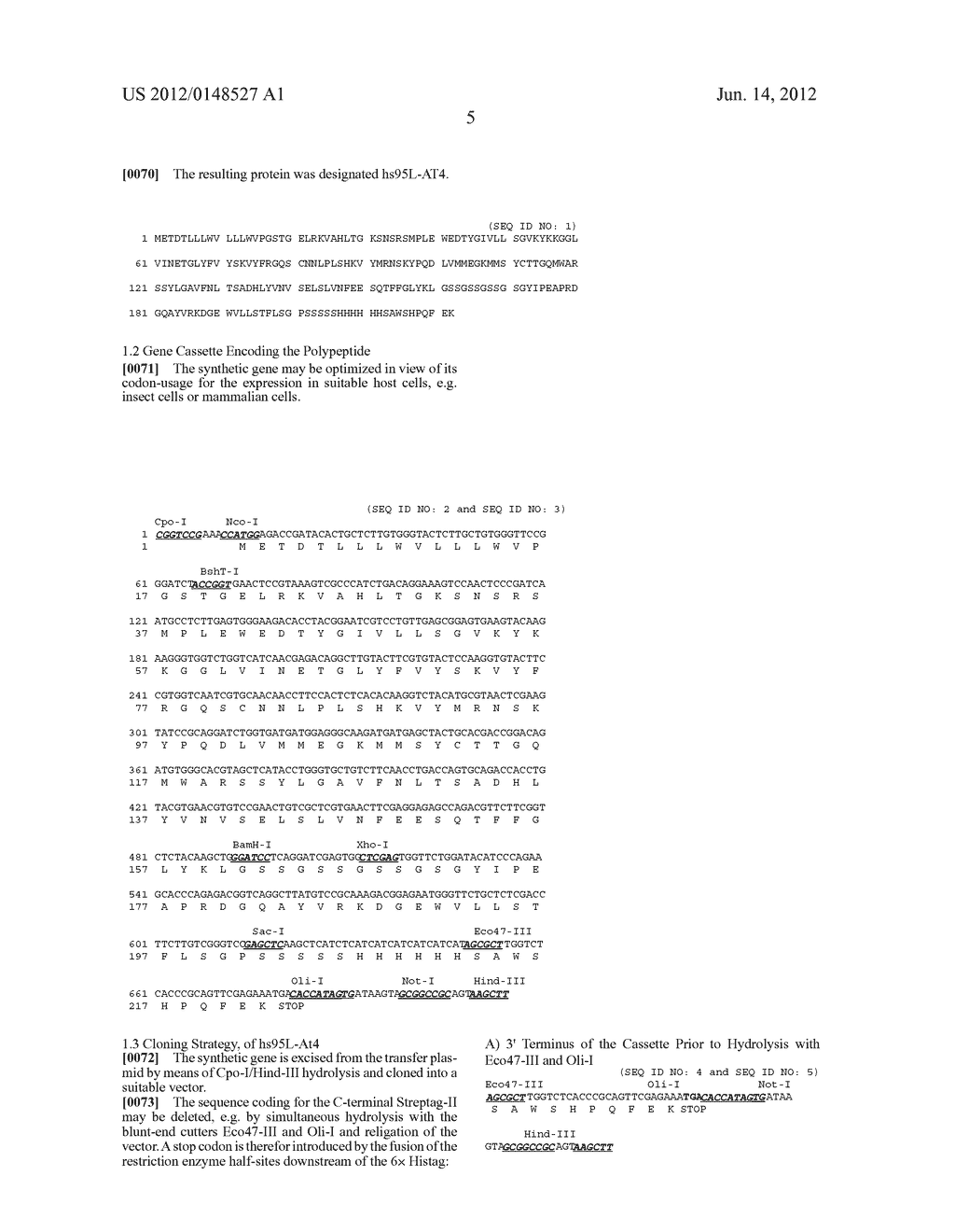 TNF Superfamily Fusion Proteins - diagram, schematic, and image 12