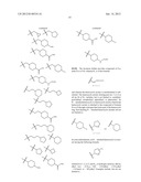 METHODS AND COMPOSITIONS OF TREATING A FLAVIVIRIDAE FAMILY VIRAL INFECTION diagram and image