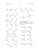 METHODS AND COMPOSITIONS OF TREATING A FLAVIVIRIDAE FAMILY VIRAL INFECTION diagram and image