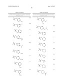 METHODS AND COMPOSITIONS OF TREATING A FLAVIVIRIDAE FAMILY VIRAL INFECTION diagram and image