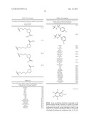 METHODS AND COMPOSITIONS OF TREATING A FLAVIVIRIDAE FAMILY VIRAL INFECTION diagram and image