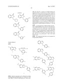 METHODS AND COMPOSITIONS OF TREATING A FLAVIVIRIDAE FAMILY VIRAL INFECTION diagram and image