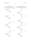 METHODS AND COMPOSITIONS OF TREATING A FLAVIVIRIDAE FAMILY VIRAL INFECTION diagram and image