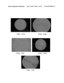 PROLIFERATED CELL LINES AND USES THEREOF diagram and image