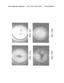 PROLIFERATED CELL LINES AND USES THEREOF diagram and image