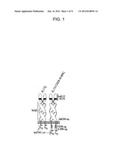 METHOD AND COMPOSITIONS FOR ENHANCED ANTI-TUMOR EFFECTOR FUNCTIONING OF T     CELLS diagram and image