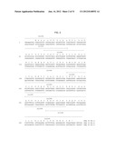 METHOD AND COMPOSITIONS FOR ENHANCED ANTI-TUMOR EFFECTOR FUNCTIONING OF T     CELLS diagram and image