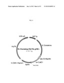 METHOD AND COMPOSITIONS FOR ENHANCED ANTI-TUMOR EFFECTOR FUNCTIONING OF T     CELLS diagram and image