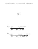 METHOD AND COMPOSITIONS FOR ENHANCED ANTI-TUMOR EFFECTOR FUNCTIONING OF T     CELLS diagram and image