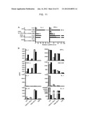 METHOD AND COMPOSITIONS FOR ENHANCED ANTI-TUMOR EFFECTOR FUNCTIONING OF T     CELLS diagram and image