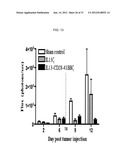 METHOD AND COMPOSITIONS FOR ENHANCED ANTI-TUMOR EFFECTOR FUNCTIONING OF T     CELLS diagram and image