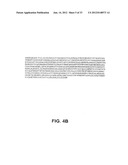 COMPOSITIONS AND METHODS FOR THE DIAGNOSIS AND TREATMENT OF IMMUNE     DISORDERS diagram and image