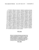 COMPOSITIONS AND METHODS FOR THE DIAGNOSIS AND TREATMENT OF IMMUNE     DISORDERS diagram and image