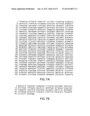 COMPOSITIONS AND METHODS FOR THE DIAGNOSIS AND TREATMENT OF IMMUNE     DISORDERS diagram and image