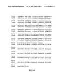 COMPOSITIONS AND METHODS FOR THE DIAGNOSIS AND TREATMENT OF IMMUNE     DISORDERS diagram and image