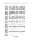 COMPOSITIONS AND METHODS FOR THE DIAGNOSIS AND TREATMENT OF IMMUNE     DISORDERS diagram and image