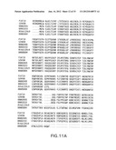 COMPOSITIONS AND METHODS FOR THE DIAGNOSIS AND TREATMENT OF IMMUNE     DISORDERS diagram and image