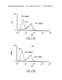 COMPOSITIONS AND METHODS FOR THE DIAGNOSIS AND TREATMENT OF IMMUNE     DISORDERS diagram and image