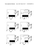 COMPOSITIONS AND METHODS FOR THE DIAGNOSIS AND TREATMENT OF IMMUNE     DISORDERS diagram and image