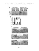 USE OF NKG2D INHIBITORS FOR TREATING CARDIOVASCULAR AND METABOLIC     DISEASES, SUCH AS TYPE 2 DIABETES diagram and image