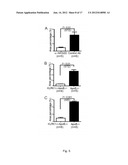 USE OF NKG2D INHIBITORS FOR TREATING CARDIOVASCULAR AND METABOLIC     DISEASES, SUCH AS TYPE 2 DIABETES diagram and image