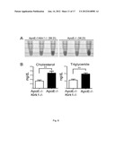 USE OF NKG2D INHIBITORS FOR TREATING CARDIOVASCULAR AND METABOLIC     DISEASES, SUCH AS TYPE 2 DIABETES diagram and image