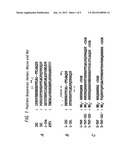 CELL-PERMEABLE PEPTIDE INHIBITORS OF THE JNK SIGNAL TRANSDUCTION PATHWAY diagram and image