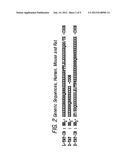 CELL-PERMEABLE PEPTIDE INHIBITORS OF THE JNK SIGNAL TRANSDUCTION PATHWAY diagram and image