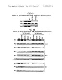 CELL-PERMEABLE PEPTIDE INHIBITORS OF THE JNK SIGNAL TRANSDUCTION PATHWAY diagram and image