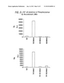 CELL-PERMEABLE PEPTIDE INHIBITORS OF THE JNK SIGNAL TRANSDUCTION PATHWAY diagram and image