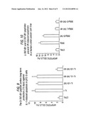 CELL-PERMEABLE PEPTIDE INHIBITORS OF THE JNK SIGNAL TRANSDUCTION PATHWAY diagram and image