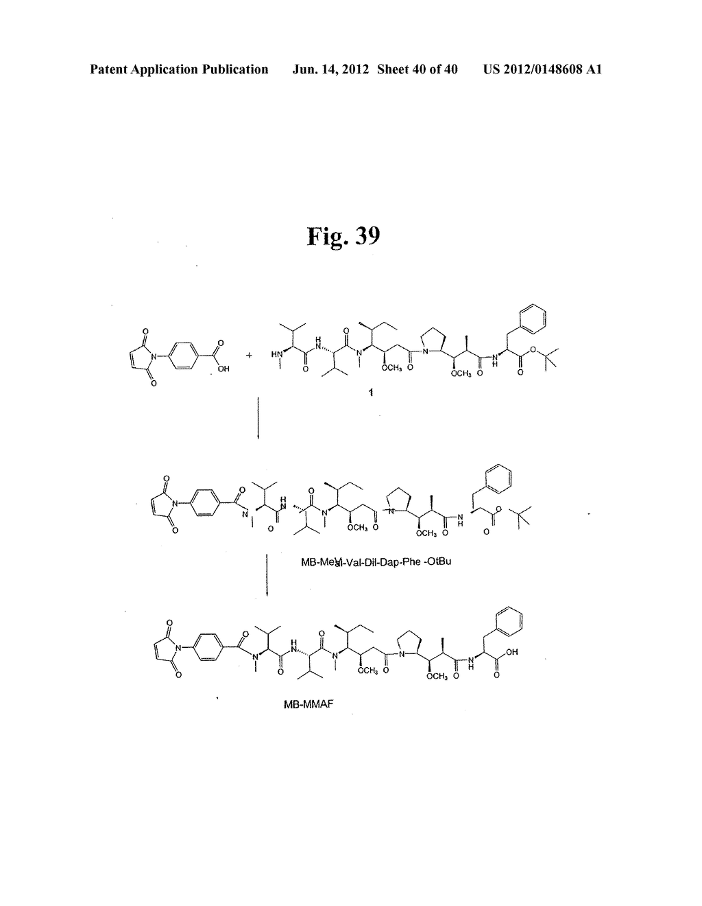 MONOMETHYLVALINE COMPOUNDS CAPABLE OF CONJUGATION TO LIGANDS - diagram, schematic, and image 41