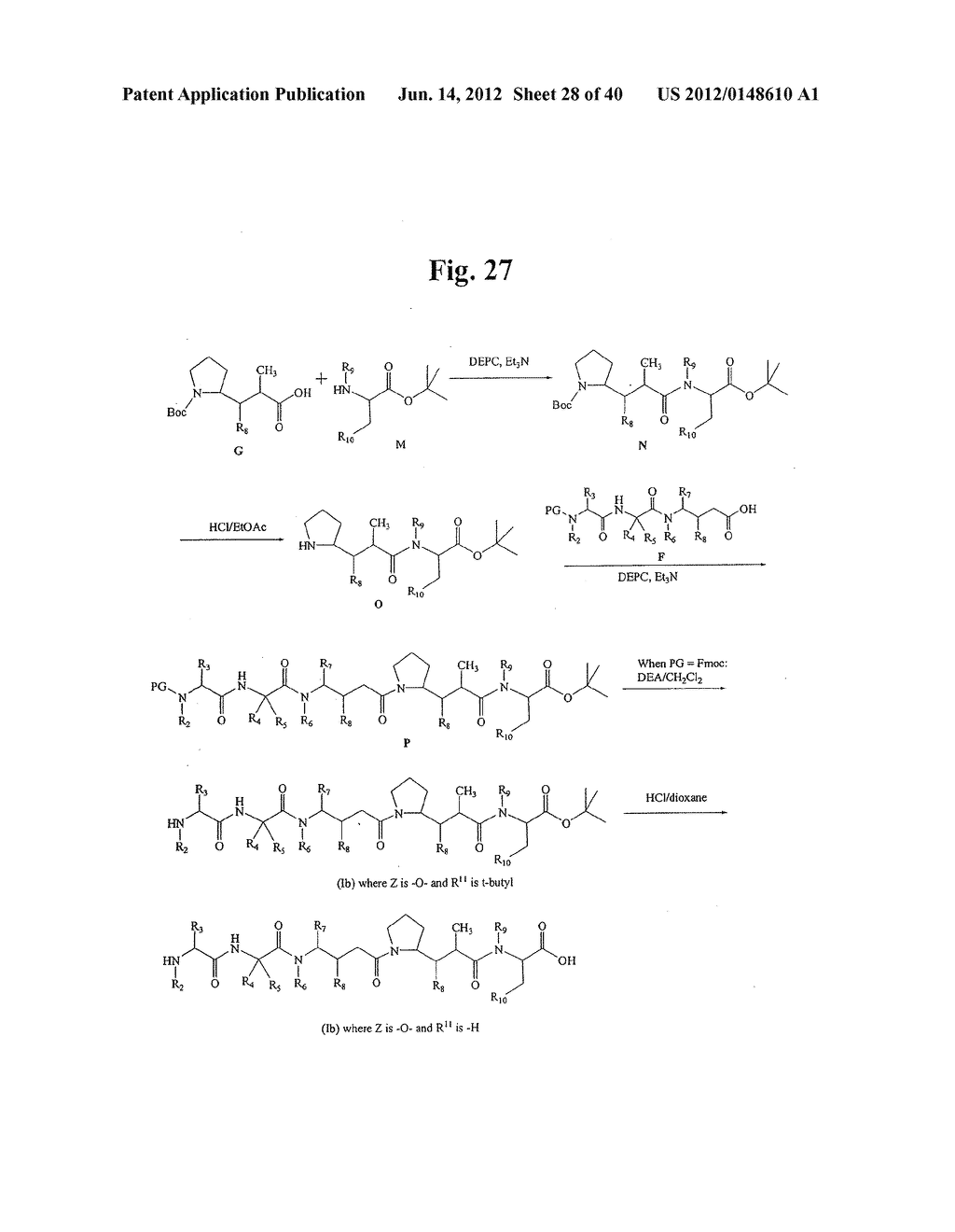 MONOMETHYLVALINE COMPOUNDS CAPABLE OF CONJUGATION TO LIGANDS - diagram, schematic, and image 29