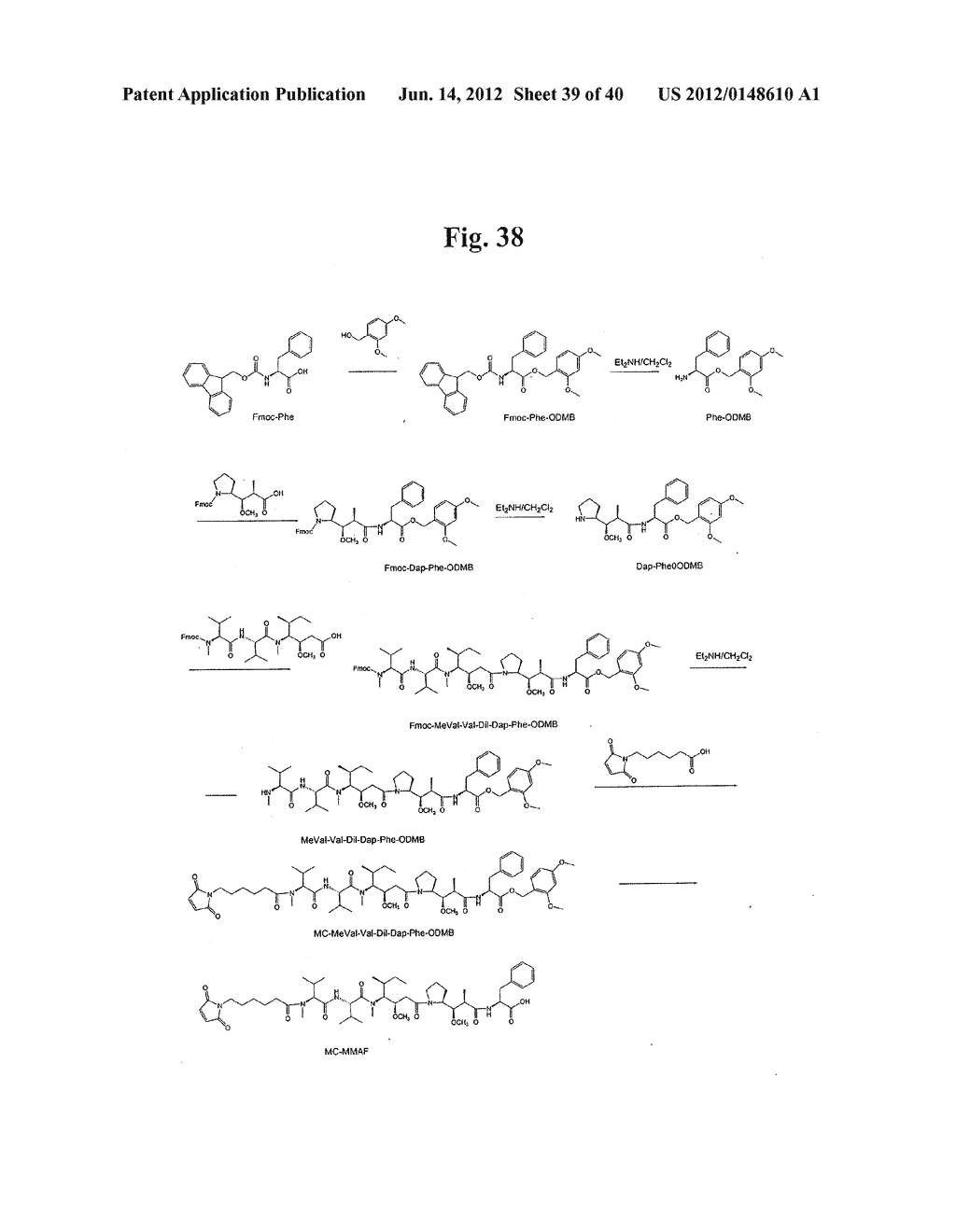 MONOMETHYLVALINE COMPOUNDS CAPABLE OF CONJUGATION TO LIGANDS - diagram, schematic, and image 40