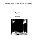 GALLIUM FORMULATION FOR THE TREATMENT AND PREVENTION OF INFECTIOUS     DISEASES diagram and image