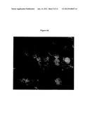 GALLIUM FORMULATION FOR THE TREATMENT AND PREVENTION OF INFECTIOUS     DISEASES diagram and image