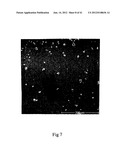 MICROPARTICLES AND METHOD OF MAKING MICROPARTICLES diagram and image